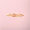 Anchovy Fillets
